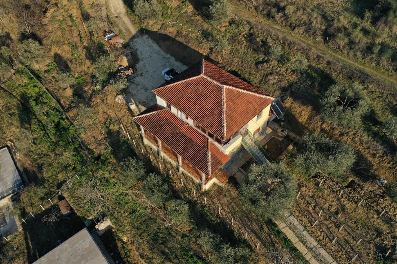 Pashollari Casa de hóspedes